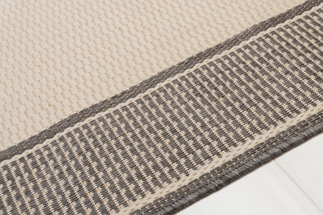 New Line Champagne/Grey