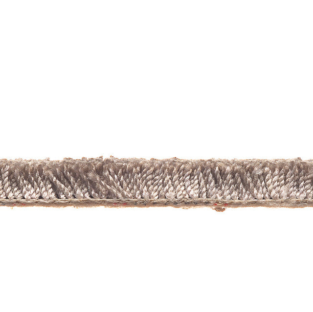 Smooth Driftwood