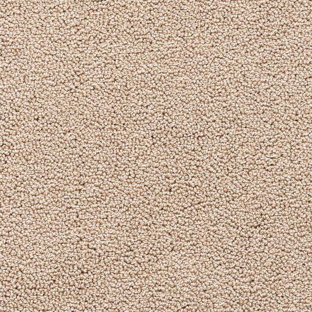 Nova Beige