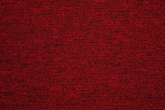 Clipper Rot
