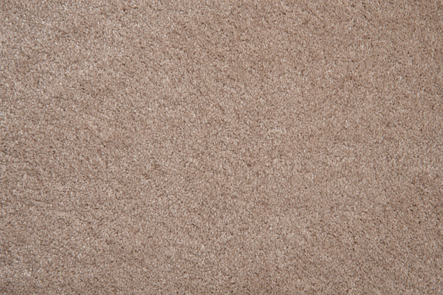 Starlight Taupe